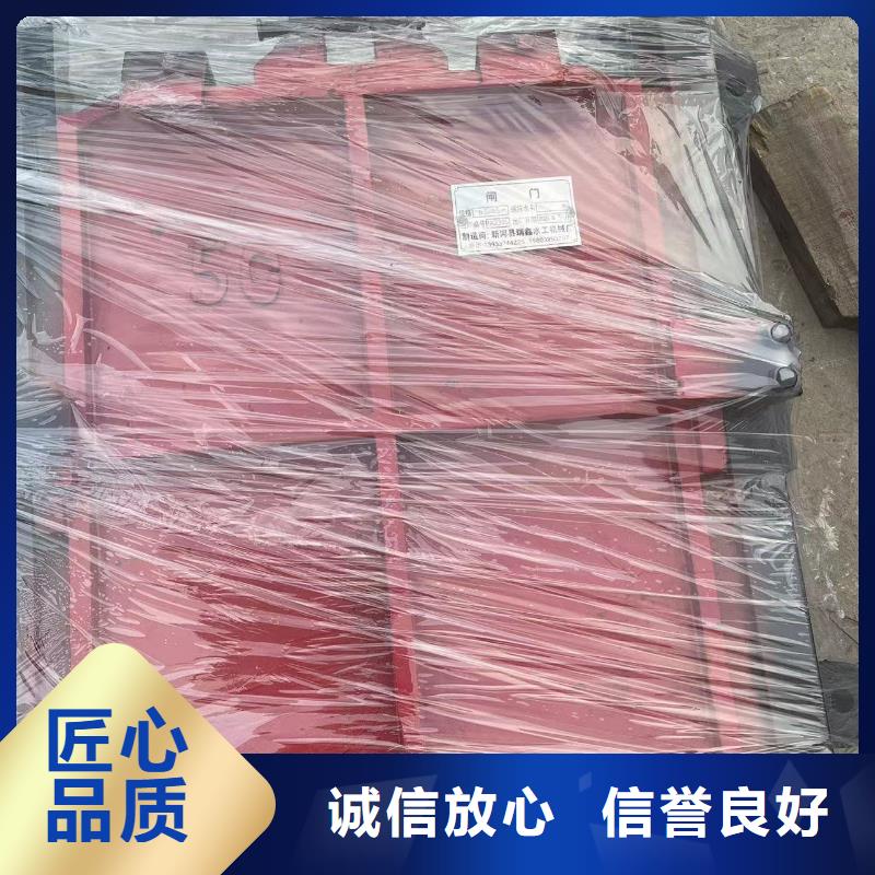 启闭机闸门-铸铁双向止水闸门信誉良好
