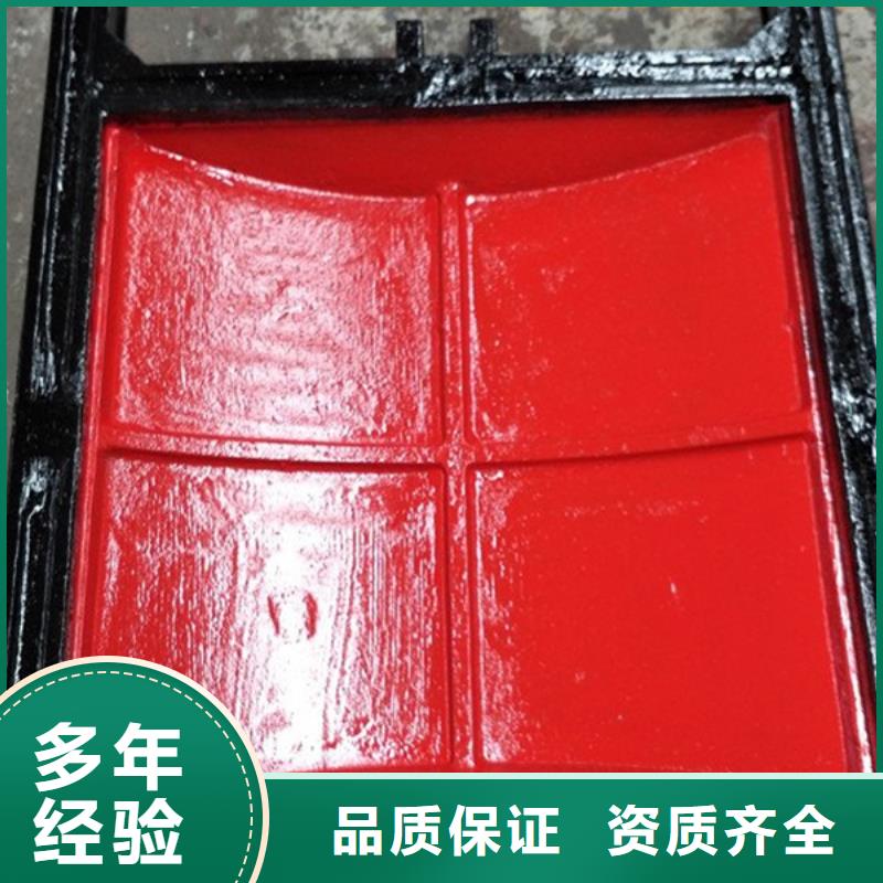铸铁闸门-水利闸门启闭机终身维护
