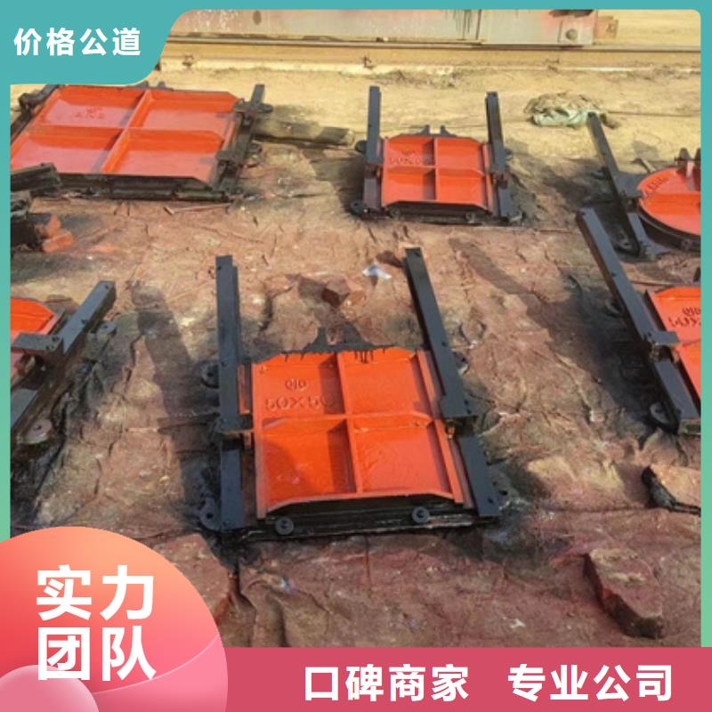 启闭机闸门-PZ机闸一体式铸铁闸门快速响应