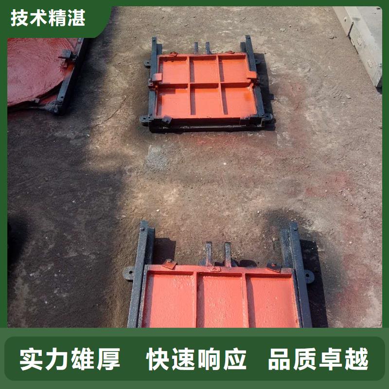 铸铁镶铜闸门-pz镶铜铸铁圆形闸门性价比高