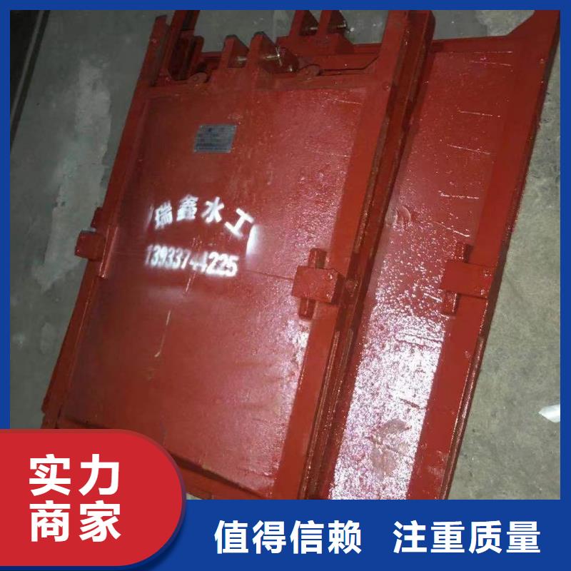 铸铁闸门-水利闸门启闭机终身维护