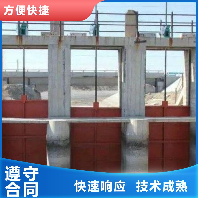铸铁闸门-pz镶铜铸铁圆形闸门环保型