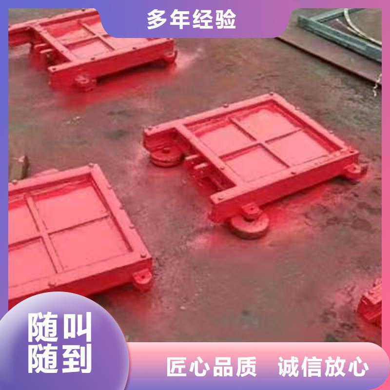 铸铁镶铜闸门-pz镶铜铸铁圆形闸门性价比高