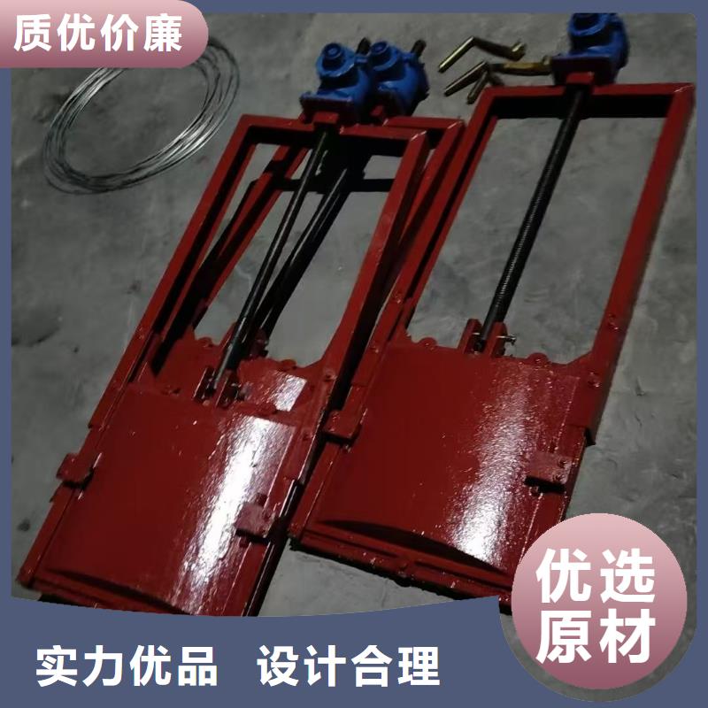 铸铁闸门-平板铸铁镶铜闸门精益求精
