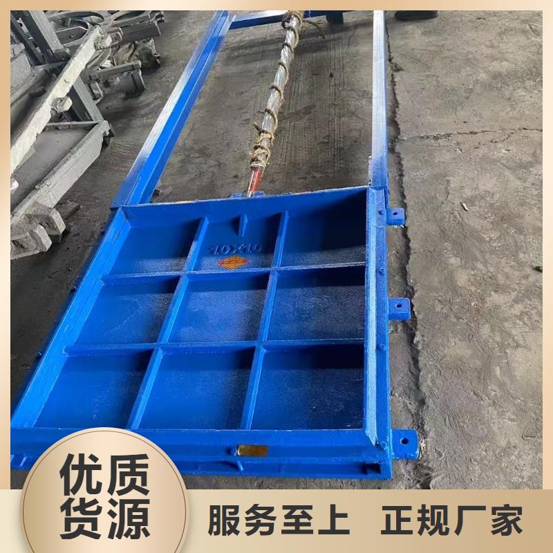 闸门启闭机-河灌区闸门服务贴心