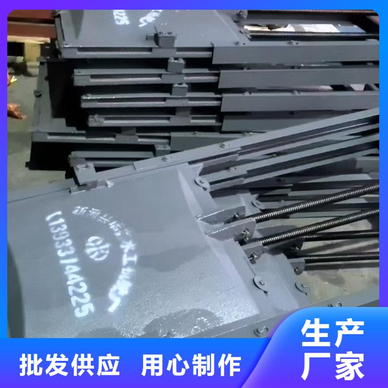 铸铁镶铜闸门-高压铸铁闸门一站式
