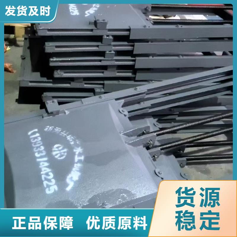 河道铸铁闸门-景观大型闸门精益求精