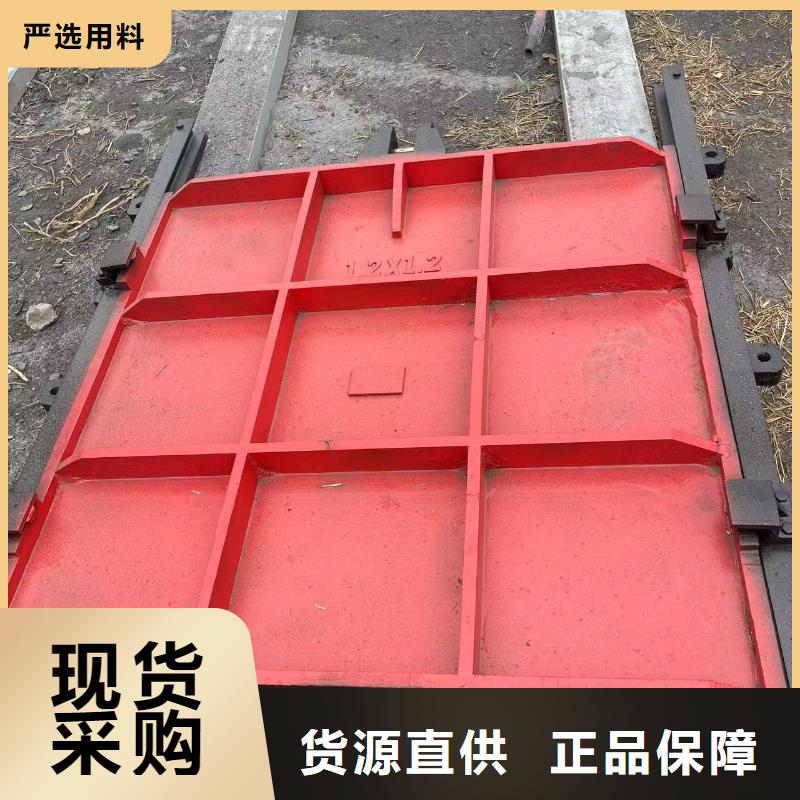 河道铸铁闸门-景观大型闸门精益求精