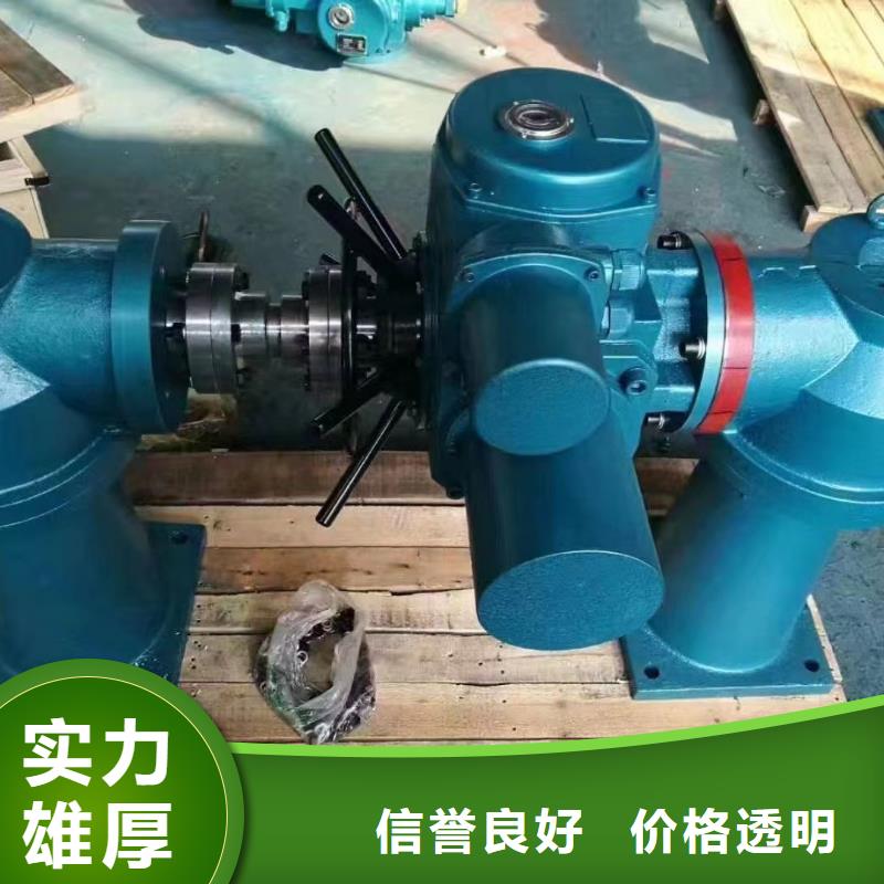 卷扬启闭机快速螺杆式启闭机生产基地