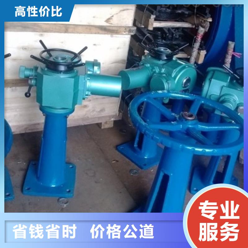 卷扬启闭机螺杆启闭机售后无忧