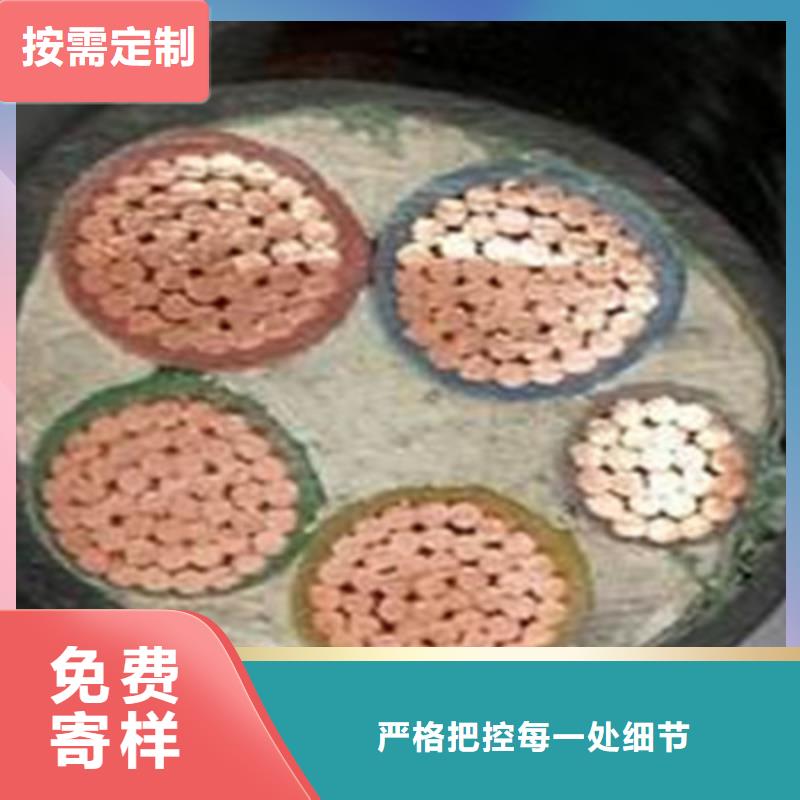 信号电缆视频-信号电缆-电缆总厂分厂(山南市分公司)服务区域贡嘎|措美|拉萨|日喀则|林芝|昌都|那曲|阿里