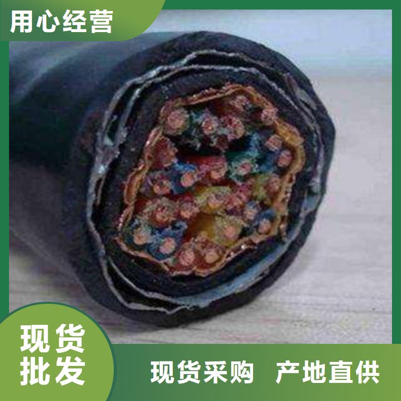 信号电缆视频-信号电缆_辽宁省抚顺市市场覆盖望花|东洲|朝阳|辽阳|盘锦|鞍山等