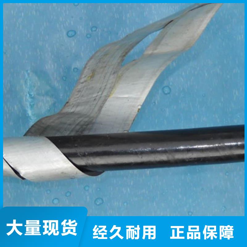 铁路信号电缆煤矿用阻燃信号电缆支持定制贴心售后