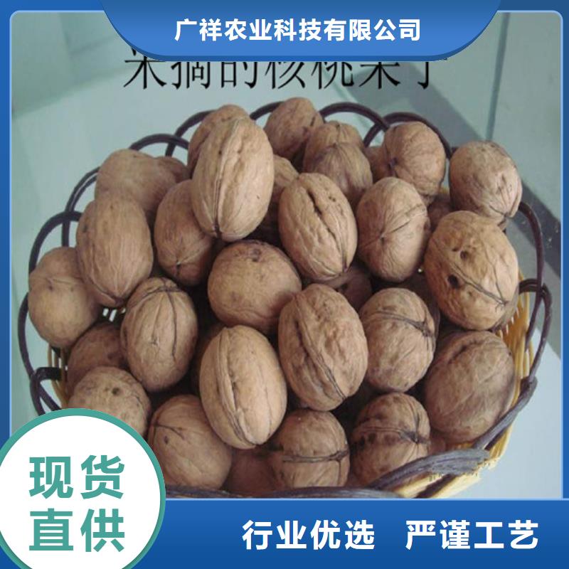 核桃苗阳光玫瑰葡萄树苗质量不佳尽管来找我