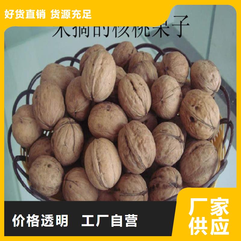 核桃苗果树苗超产品在细节