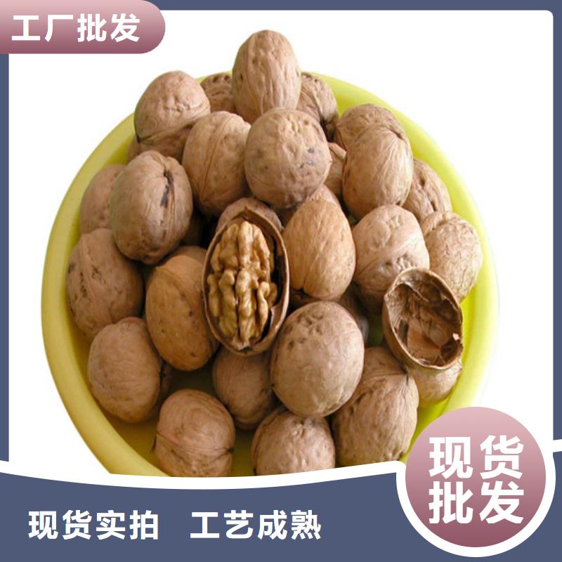 核桃苗果树苗超产品在细节