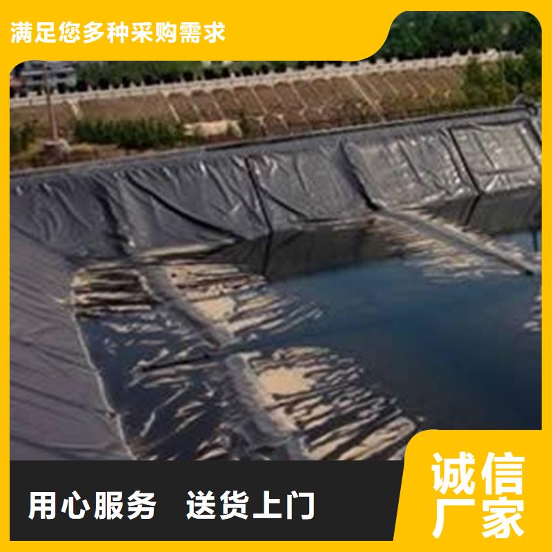 土工膜【防草布】畅销当地