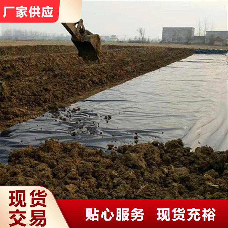 土工膜【防草布】畅销当地