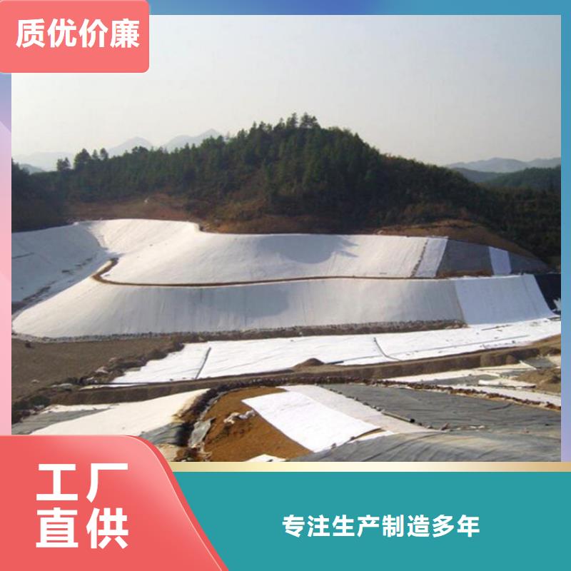土工膜【防草布】畅销当地