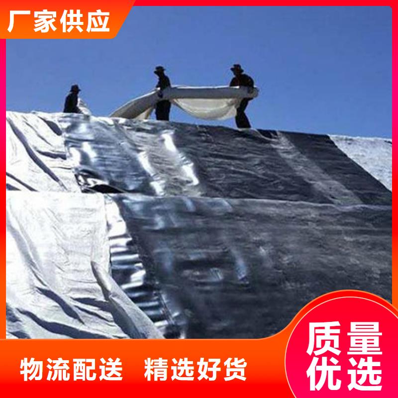 土工膜【防草布】畅销当地