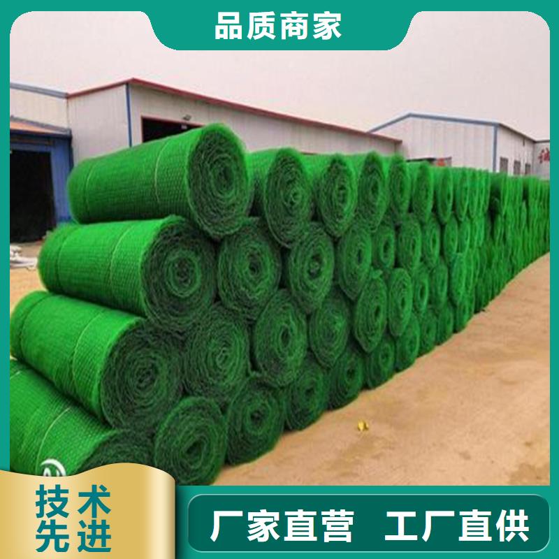 三维植被网,塑料盲沟源头把关放心选购