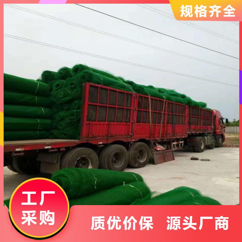 三维植被网【植草格】经验丰富质量放心