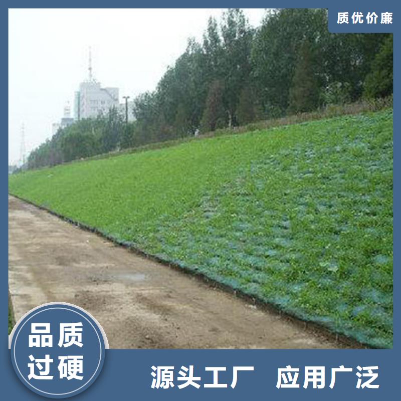 三维植被网,塑料盲沟源头把关放心选购