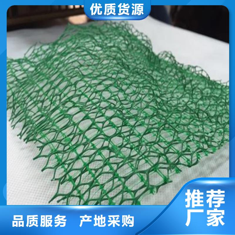 三维植被网【植草格】经验丰富质量放心
