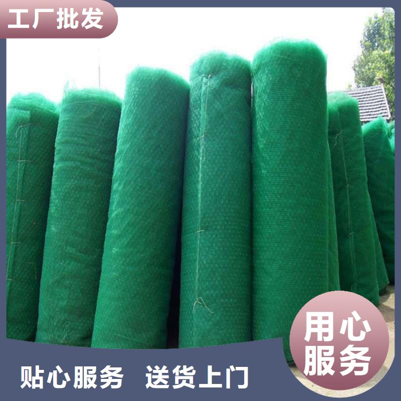 三维植被网【植草格】经验丰富质量放心