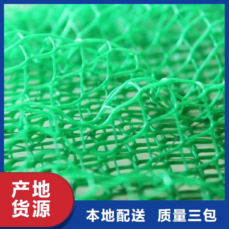 三维植被网【植草格】经验丰富质量放心