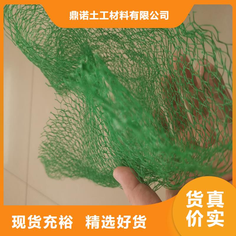 三维植被网,塑料盲沟源头把关放心选购