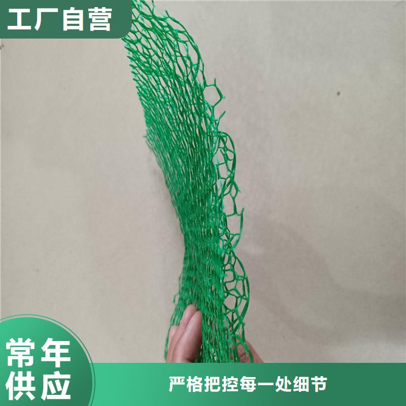 三维植被网,塑料盲沟源头把关放心选购