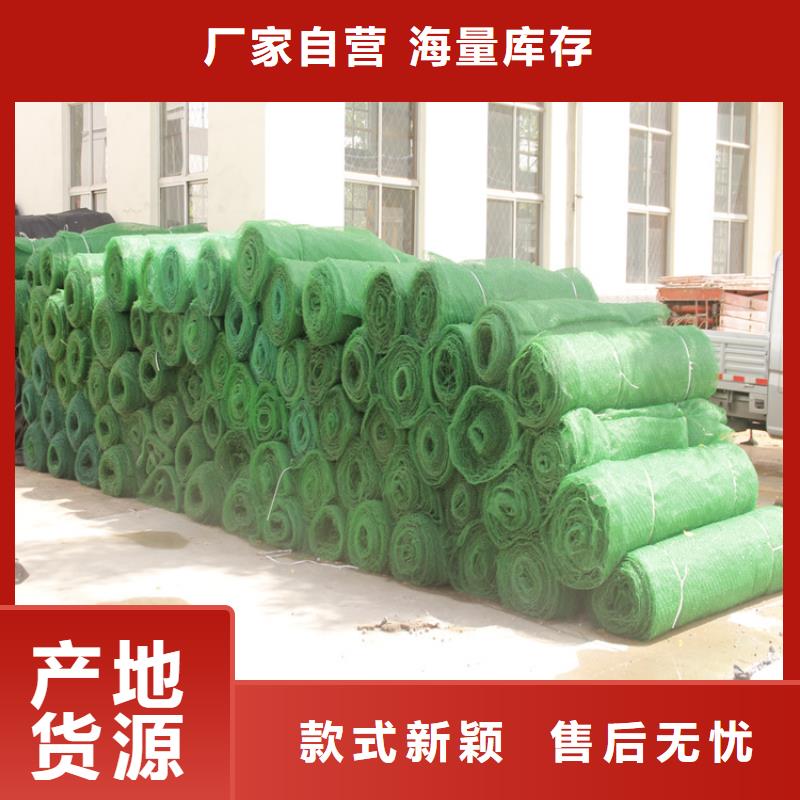 三维植被网,塑料盲沟源头把关放心选购
