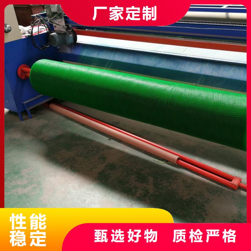三维植被网【植草格】经验丰富质量放心