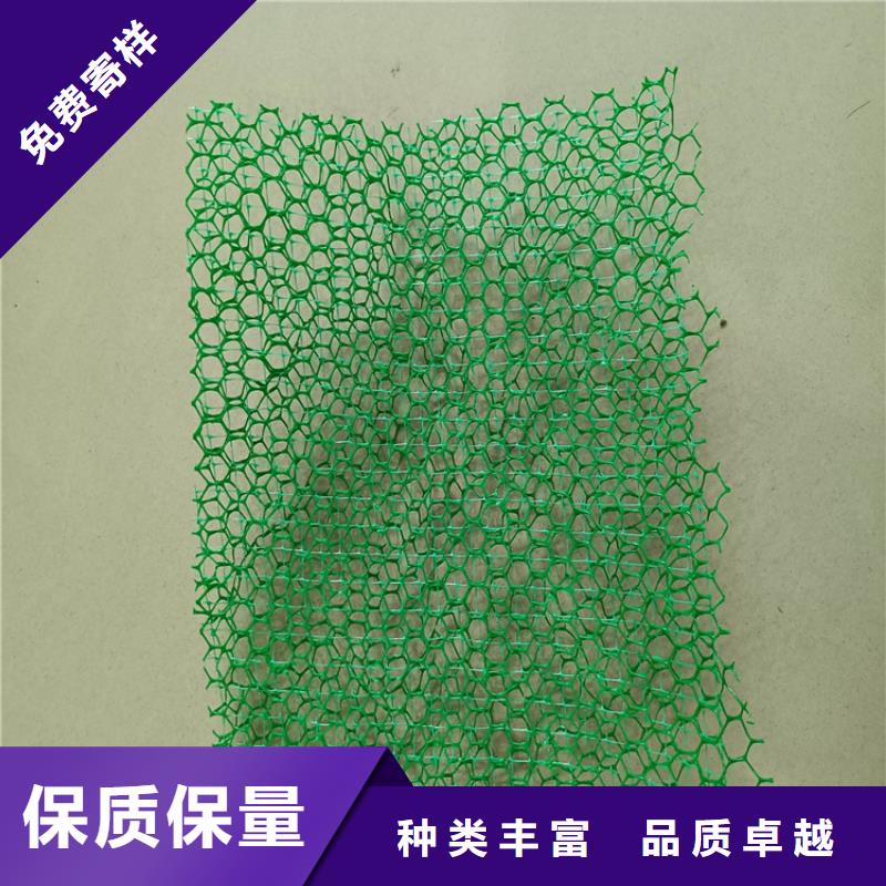三维植被网,塑料盲沟源头把关放心选购