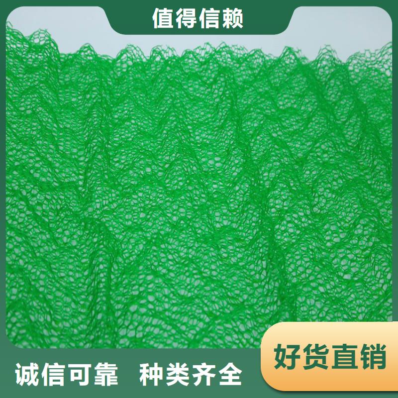 三维植被网,塑料盲沟源头把关放心选购