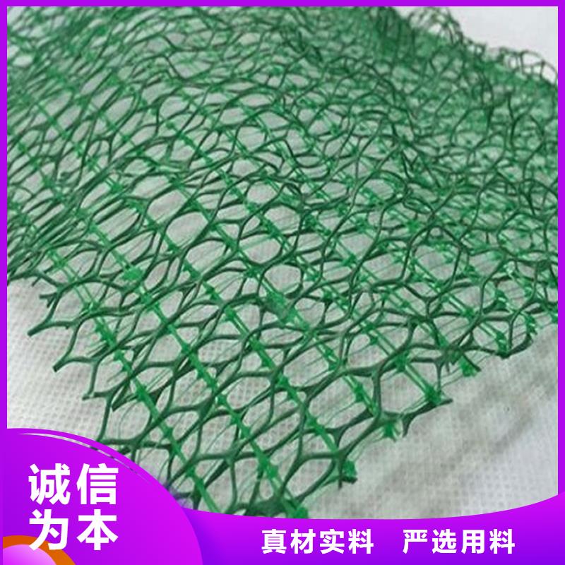 三维植被网,塑料盲沟源头把关放心选购