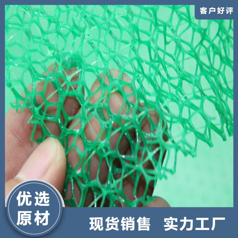 三维植被网,塑料盲沟源头把关放心选购