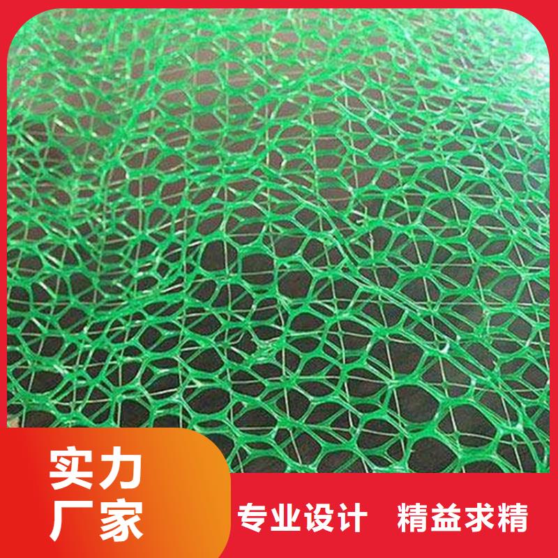 三维植被网,塑料盲沟源头把关放心选购