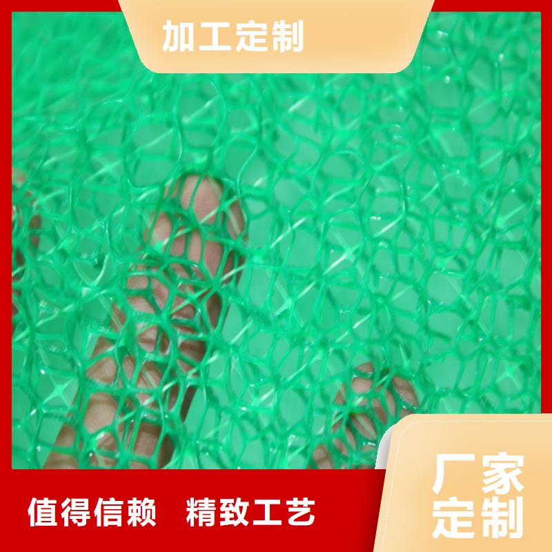 三维植被网,塑料盲沟源头把关放心选购