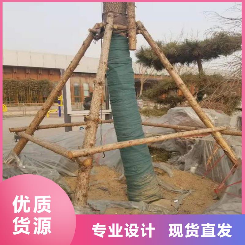 裹树布防水板专业完善售后