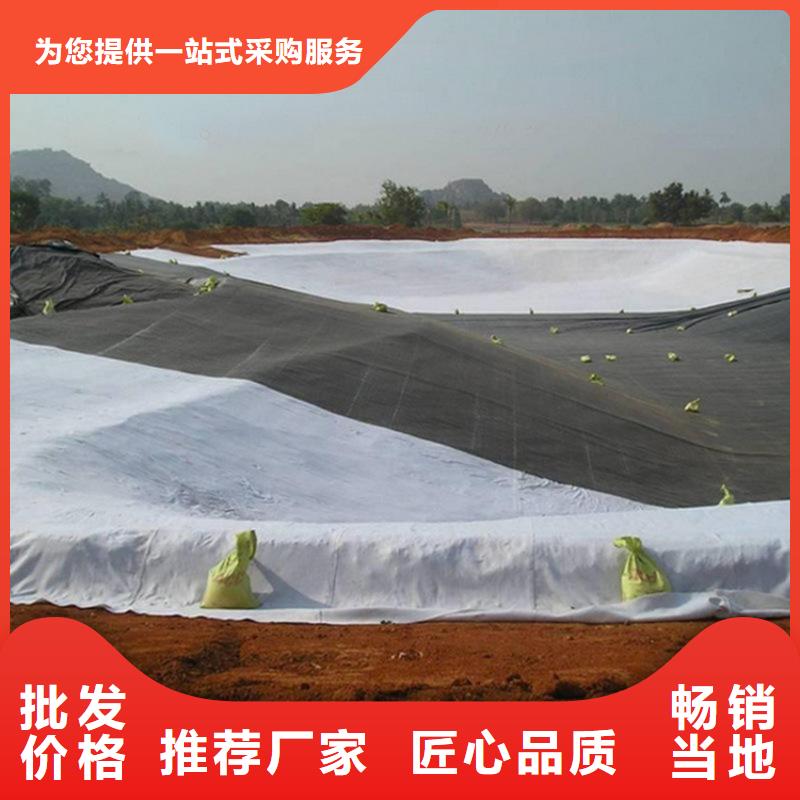 【土工膜】植草格专业厂家中齐止水条