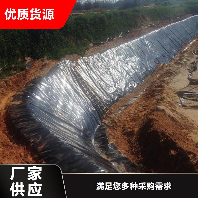 【土工膜】植草格专业厂家中齐止水条