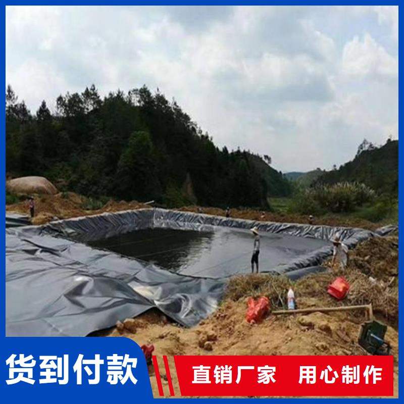 【土工膜】植草格专业厂家中齐止水条