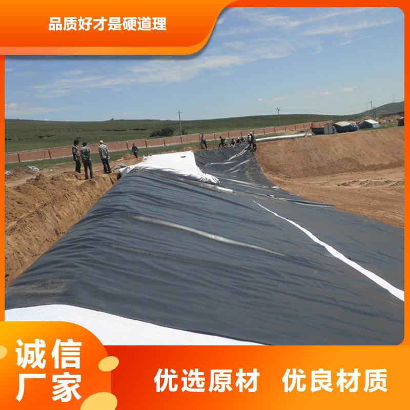 【土工膜】植草格专业厂家中齐止水条