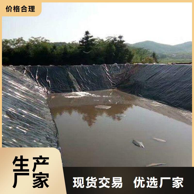 【土工膜】植草格专业厂家中齐止水条