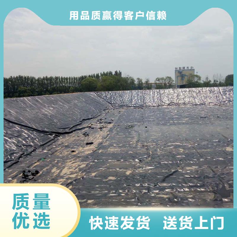 【土工膜】植草格专业厂家中齐止水条
