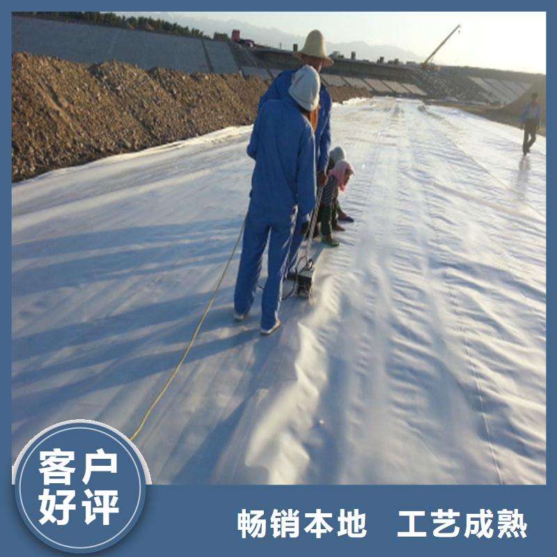 土工膜土工格栅选择大厂家省事省心