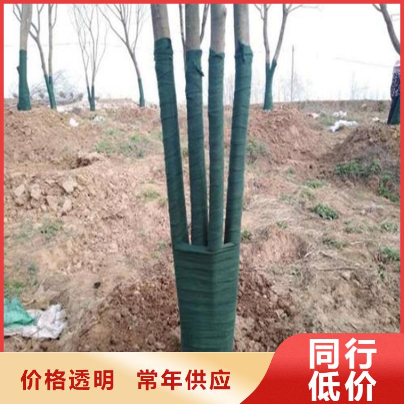 止水条视频-止水条-湖北省荆州市(同城)制造商-沙|松滋|鄂州|咸宁|武汉|十堰
