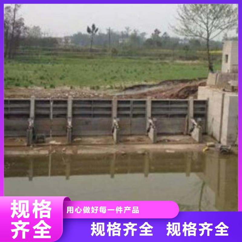 钢坝闸门免费技术指导